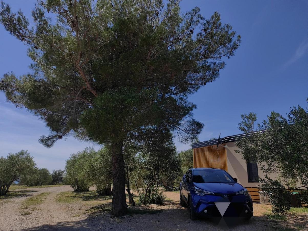 Zen Zone Premium Mobile Home Drage Dış mekan fotoğraf